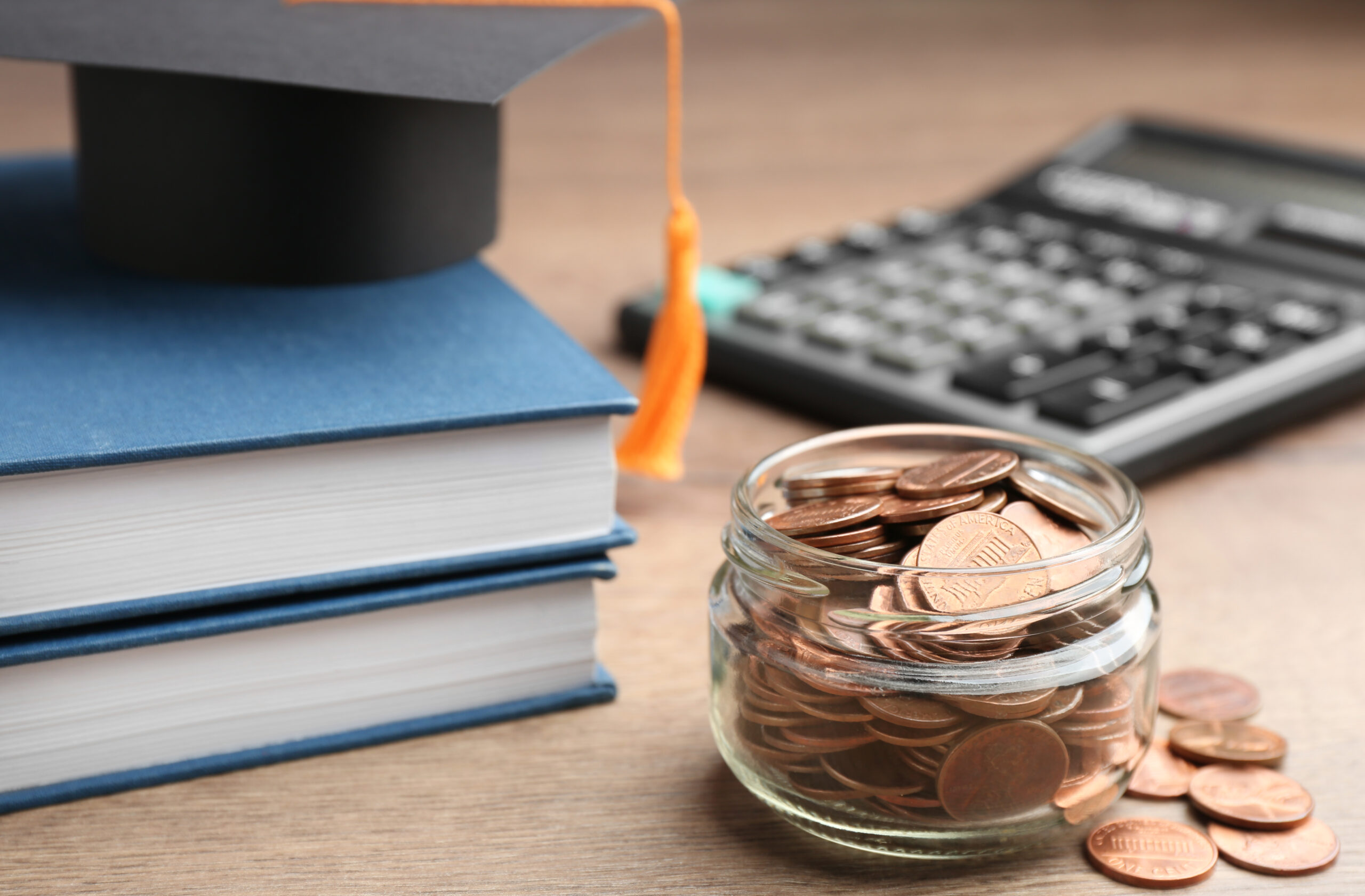 Financial literacy in school education